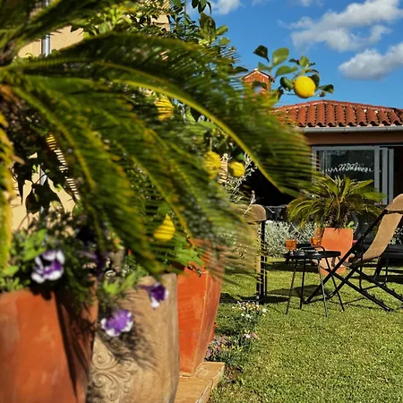 Mihaela Guest house 3*