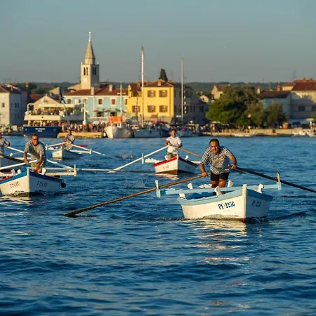 בית הארחה Mihaela פאז'אנה