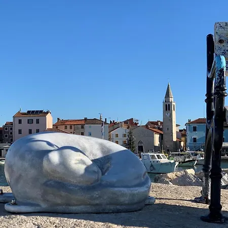 Mihaela בית הארחה