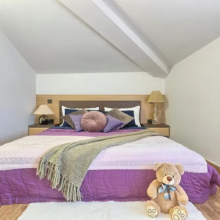 בית הארחה Mihaela