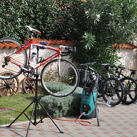 Mihaela 3* פאז'אנה